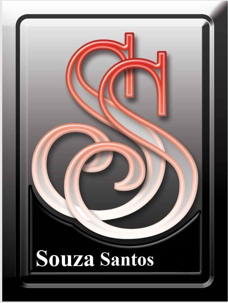 SS Documentalista Veicular Logo